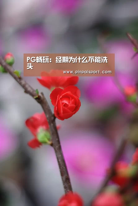 PG平台