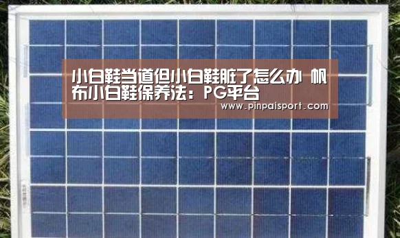 小白鞋当道但小白鞋脏了怎么办 帆布小白鞋保养法：PG平台