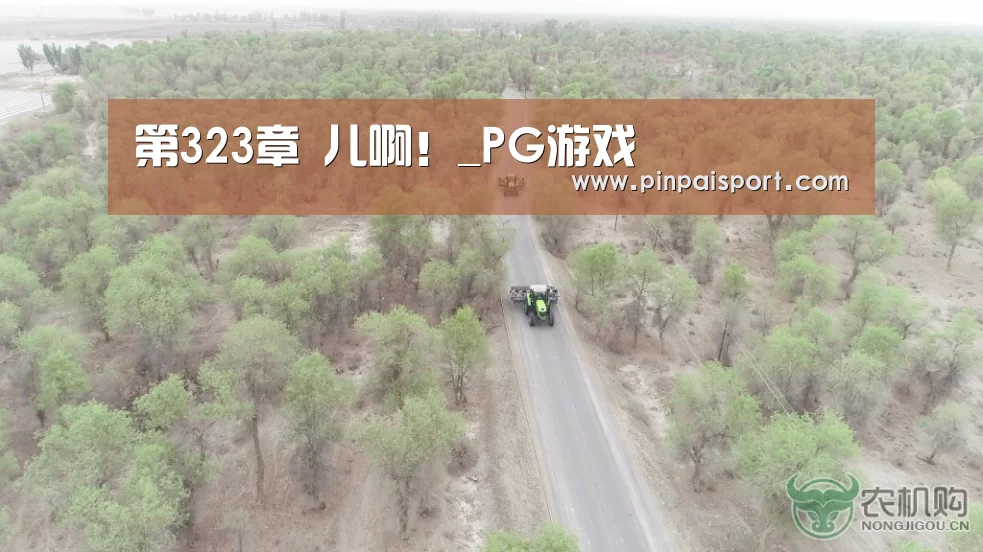 第323章 儿啊!_PG游戏(图2) PG游戏